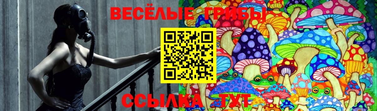 Мариинск  Псилоцибиновые грибы MAGIC MUSHROOMS  Галлюциногенные грибы ЛСД  Вход с VPN 