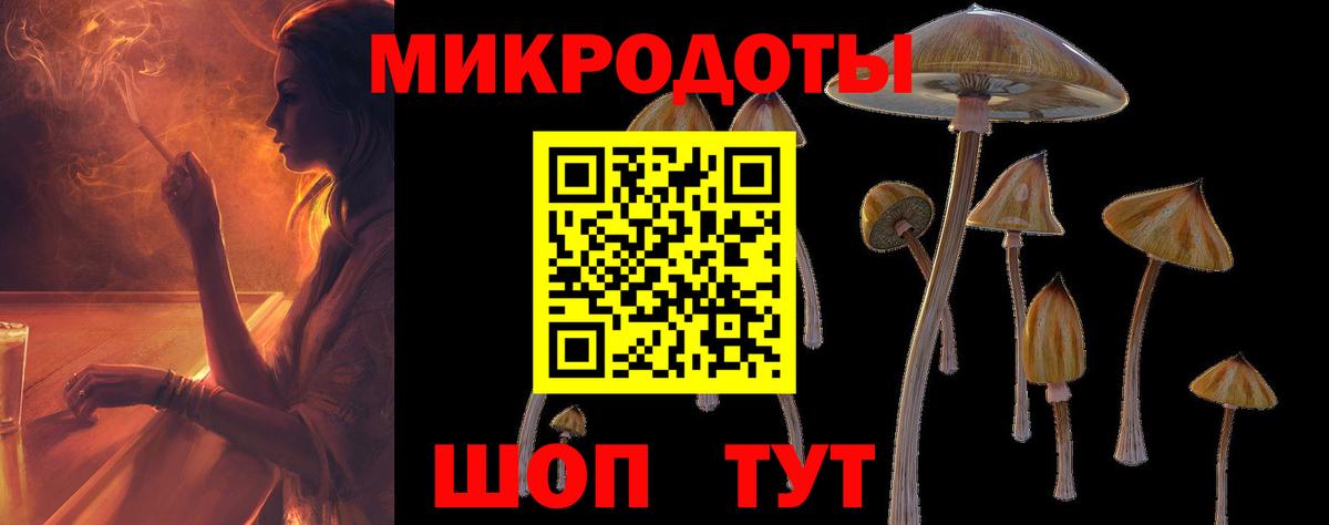 Галлюциногенные грибы мухоморы Мариинск